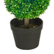 Lesli Double Ball Boxwoodl Topiary Trees | Set of 2 | Green 24"