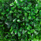 Lesli Double Ball Boxwoodl Topiary Trees | Set of 2 | Green 24"