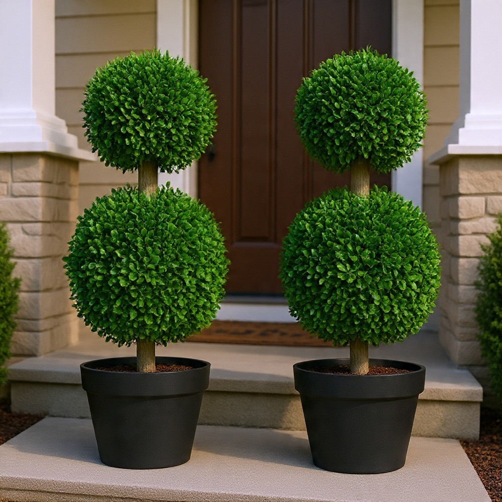 Lesli Double Ball Boxwoodl Topiary Trees | Set of 2 | Green 24"