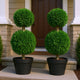 Lesli Double Ball Boxwoodl Topiary Trees | Set of 2 | Green 24"