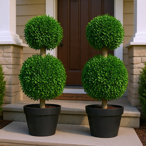Lesli Double Ball Boxwoodl Topiary Trees | Set of 2 | Green 24"