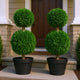 Lesli Double Ball Boxwoodl Topiary Trees | Set of 2 | Green 24"