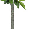 Tommy Lifelike Laurel Artificial Tree w Cement-Filled Pot | Green 35"