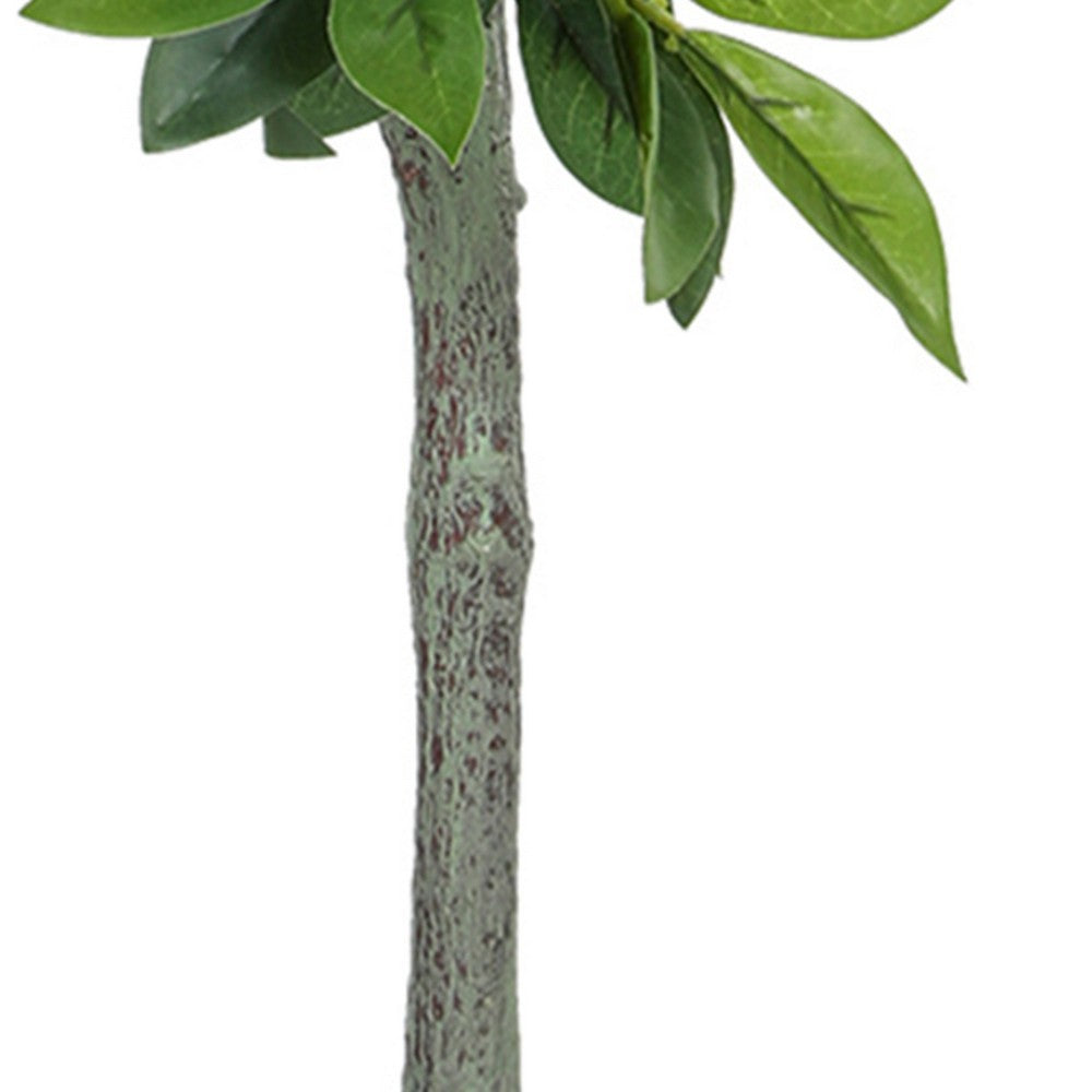 Tommy Lifelike Laurel Artificial Tree w Cement-Filled Pot | Green 35"