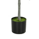 Tommy Lifelike Laurel Artificial Tree w Cement-Filled Pot | Green 35"