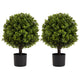 Yana Boxwood Topiary Tree with Pot | Set of 2 | Green Poly Silk 22"