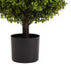 Yana Boxwood Topiary Tree with Pot | Set of 2 | Green Poly Silk 22"