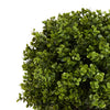 Yana Boxwood Topiary Tree with Pot | Set of 2 | Green Poly Silk 22"