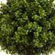 Yana Boxwood Topiary Tree with Pot | Set of 2 | Green Poly Silk 22"