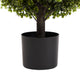 Yana Boxwood Topiary Tree with Pot | Set of 2 | Green Poly Silk 22"