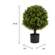 Yana Boxwood Topiary Tree with Pot | Set of 2 | Green Poly Silk 22"