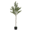 Arya Modern Faux Olive Tree | Realistic Leaves | Green Poly Silk 66"