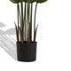James Artificial Bird of Paradise Palm Tree | Set of 2 | Green 63"