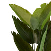 James Artificial Bird of Paradise Palm Tree | Set of 2 | Green 63"