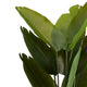 James Artificial Bird of Paradise Palm Tree | Set of 2 | Green 63"