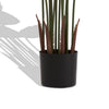 James Artificial Bird of Paradise Palm Tree | Set of 2 | Green 63"