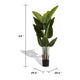 James Artificial Bird of Paradise Palm Tree | Set of 2 | Green 63"