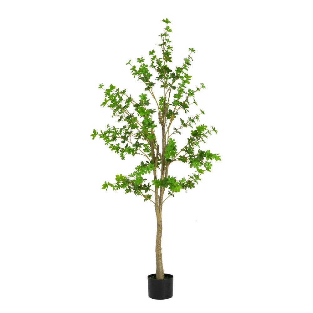 Dyna Artificial Enkianthus Tree with Pot | Green Poly Silk 76"