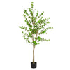 Dyna Artificial Enkianthus Tree with Pot | Green Poly Silk 76"