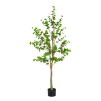 Green, Black