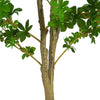 Dyna Artificial Enkianthus Tree with Pot | Green Poly Silk 76"