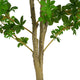 Dyna Artificial Enkianthus Tree with Pot | Green Poly Silk 76"