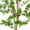 Dyna Artificial Enkianthus Tree with Pot | Green Poly Silk 76"