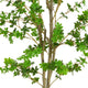 Dyna Artificial Enkianthus Tree with Pot | Green Poly Silk 76"