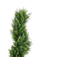 Syna Spiral Cedar Tree | Set of 2 | Two-Tone Green Poly Silk 71"