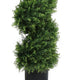 Syna Spiral Cedar Tree | Set of 2 | Two-Tone Green Poly Silk 71"