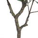 Serena Artificial Ficus Tree with Pot | Green Poly Silk 51"