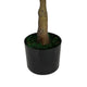 Serena Artificial Ficus Tree with Pot | Green Poly Silk 51"