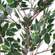 Serena Artificial Ficus Tree with Pot | Green Poly Silk 51"
