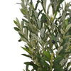 Arya Modern Faux Olive Tree | Realistic Leaves | Green Poly Silk 71"