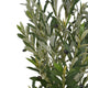 Arya Modern Faux Olive Tree | Realistic Leaves | Green Poly Silk 71"