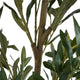 Arya Modern Faux Olive Tree | Realistic Leaves | Green Poly Silk 71"