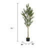 Arya Modern Faux Olive Tree | Realistic Leaves | Green Poly Silk 71"