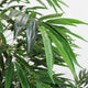 Aisha Artificial Willow Tree with ThermoPoly Silk Foliage | Green 83"