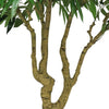 Aisha Artificial Willow Tree with ThermoPoly Silk Foliage | Green 83"