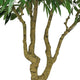 Aisha Artificial Willow Tree with ThermoPoly Silk Foliage | Green 83"