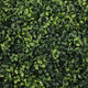 Sophie Faux Boxwood Topiary Balls | Set of 2 | Green Poly Silk 19"