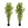 Nadia Faux Bamboo Plant Set | Iron Frame | Green Poly Silk 72"