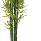 Nadia Faux Bamboo Plant Set | Iron Frame | Green Poly Silk 72"