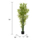 Nadia Faux Bamboo Plant Set | Iron Frame | Green Poly Silk 72"