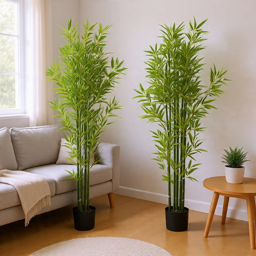 Nadia Faux Bamboo Plant Set | Iron Frame | Green Poly Silk 72"