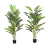 Rita Artificial Palm Tree | Set of 2 | Iron | Green Poly Silk 79"