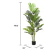 Rita Artificial Palm Tree | Set of 2 | Iron | Green Poly Silk 79"