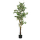 Serena Artificial Ficus Tree with Pot | Green Poly Silk 69"