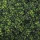 Sophie Faux Boxwood Topiary Balls | Set of 2 | Green Poly Silk 23"