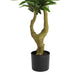Aisha 5 Ft Artificial Willow Tree with ThermoPoly Silk Foliage | 59"